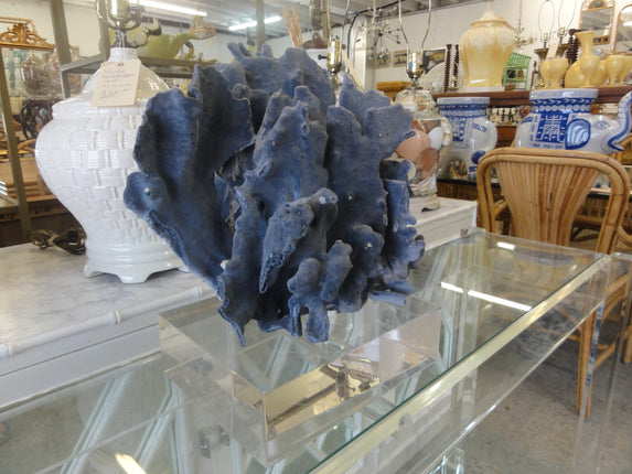 Natural Blue Coral on Lucite