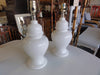 Pair of Petite Ginger Jar Lamps