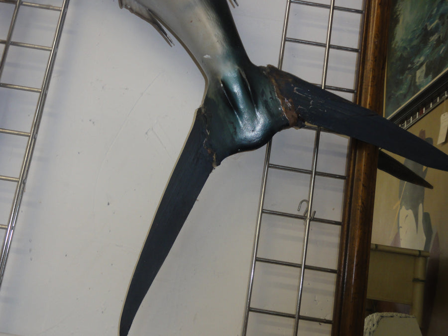 7 Ft Taxidermy Marlin Mount