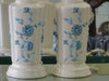 Pair of Powder Blue Flower Icing Lamps