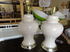 Pair of Creamy White Ginger Jar Lamps