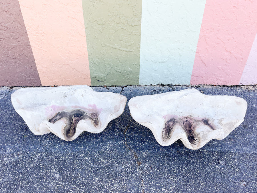 Pair of Concrete Clam Shells
