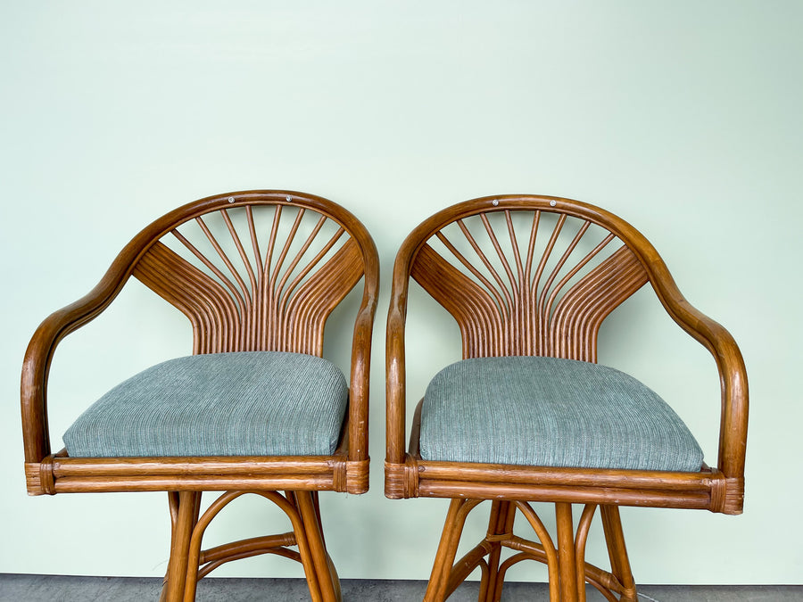 Pair of Islandy Bar Stools