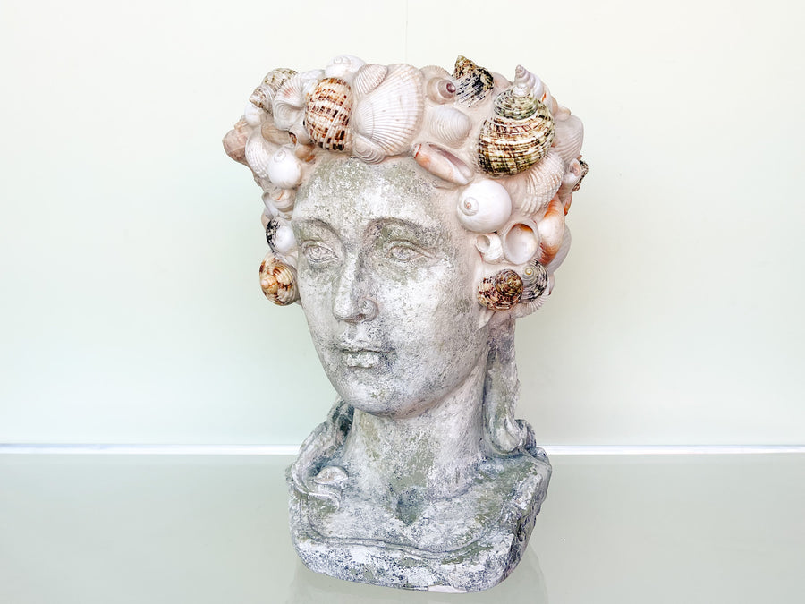 Shellegance Bust Cachepot