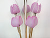 Pink Tulip Acrylic Lamp