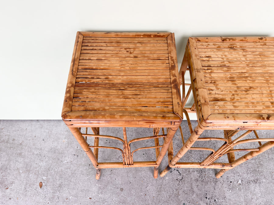 Pair of Tortoiseshell Plant Stands