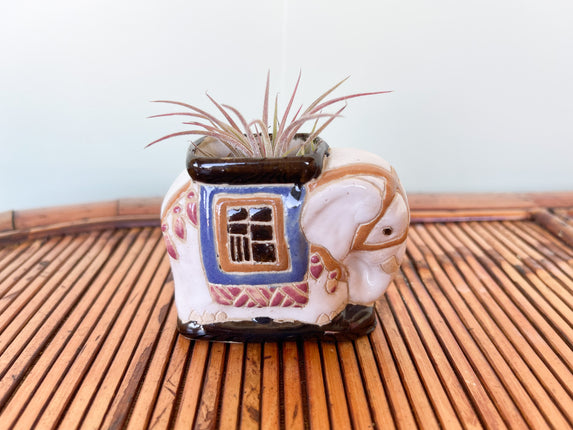 Tiny Colorful Elephant Planter