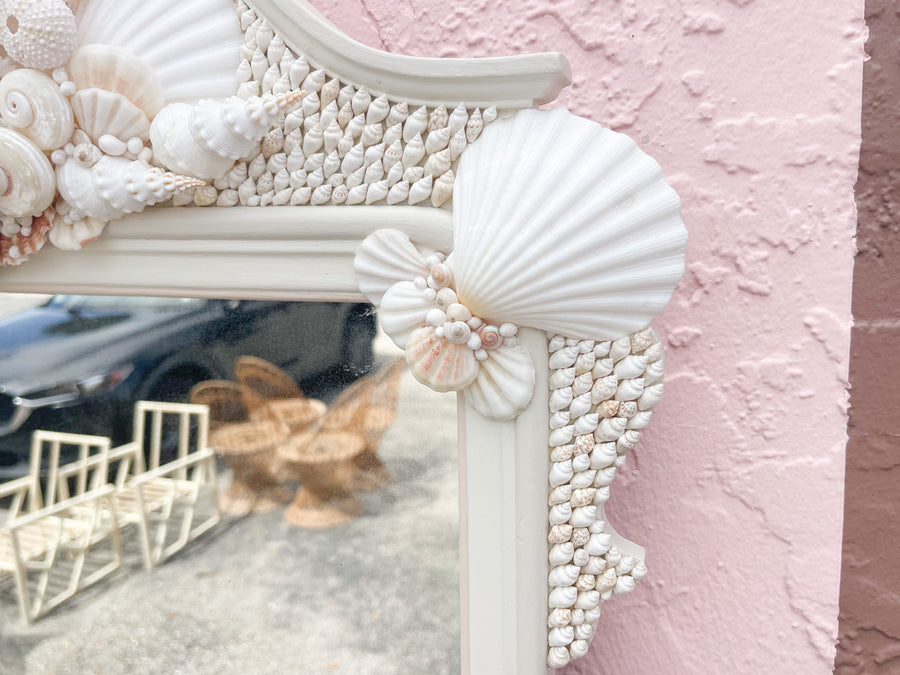 Unique Scallop Shell Mirror