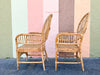 Set of Six Island Style Rattan and Cane Arm Chairs