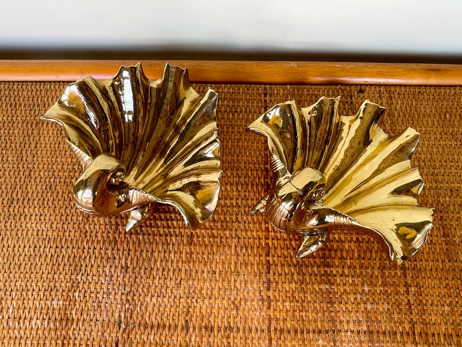 Pair of Brass Clam Shells