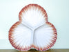 Pair of Oceana Clam Shell Platters