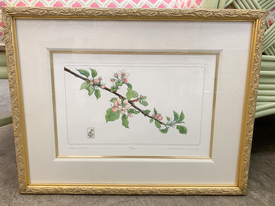 Set of Four Floral Prints by Charolette Ann Meckley