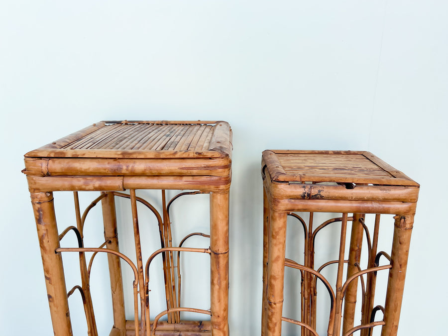 Pair of Tortoiseshell Plant Stands
