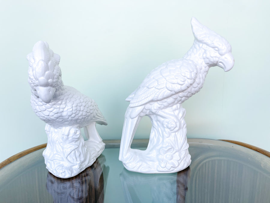 Pair of White Cockatoos