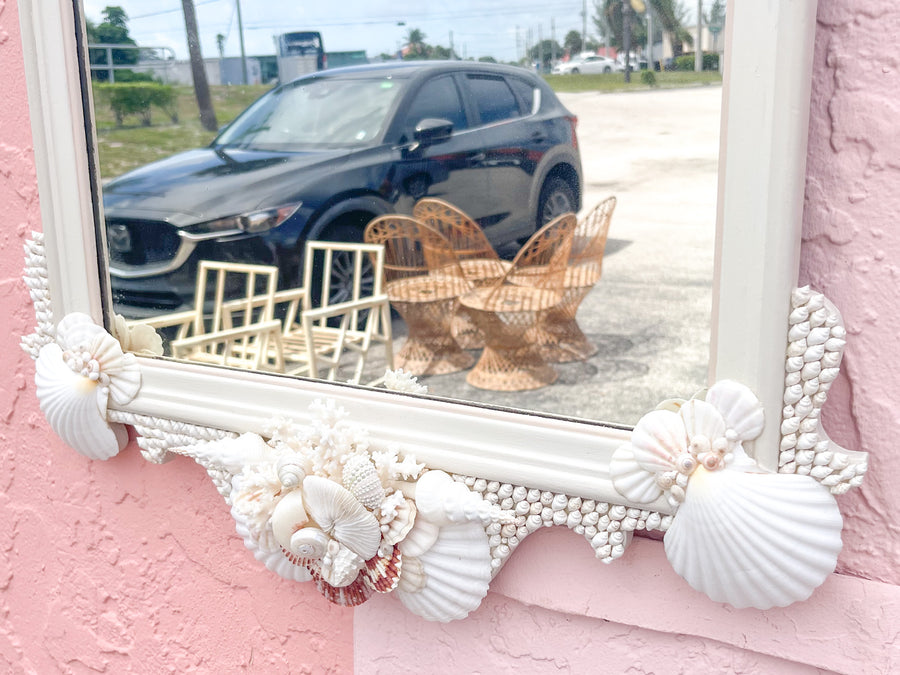 Unique Scallop Shell Mirror