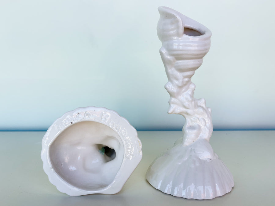 Pair of Bahamian Shell Candlesticks