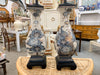 Pair of Blue and White Peacock Lamps