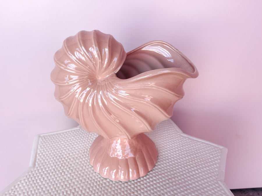 Blush Seashell Cachepot