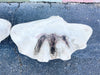 Pair of Concrete Clam Shells