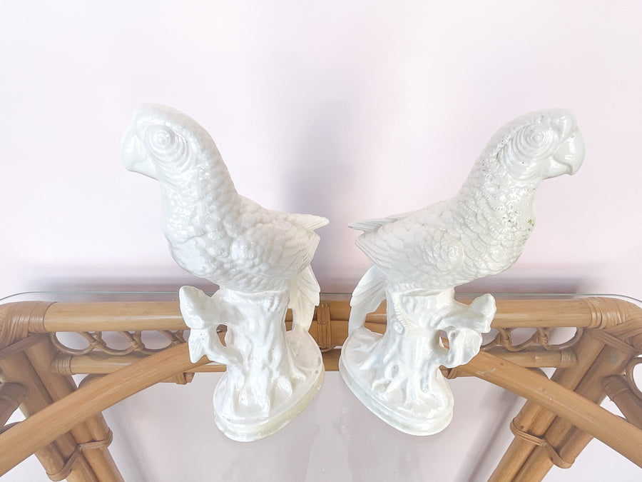 Pair of Sweet Parrots