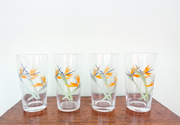 Set of Four Birds of Paradise Hand Painted Glasses