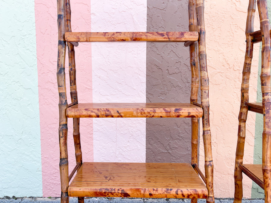 Pair of Tortoiseshell Etageres