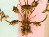 Regency Glam Flower Wall Sconces
