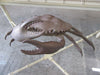 Palm Beach Large Brass Crab