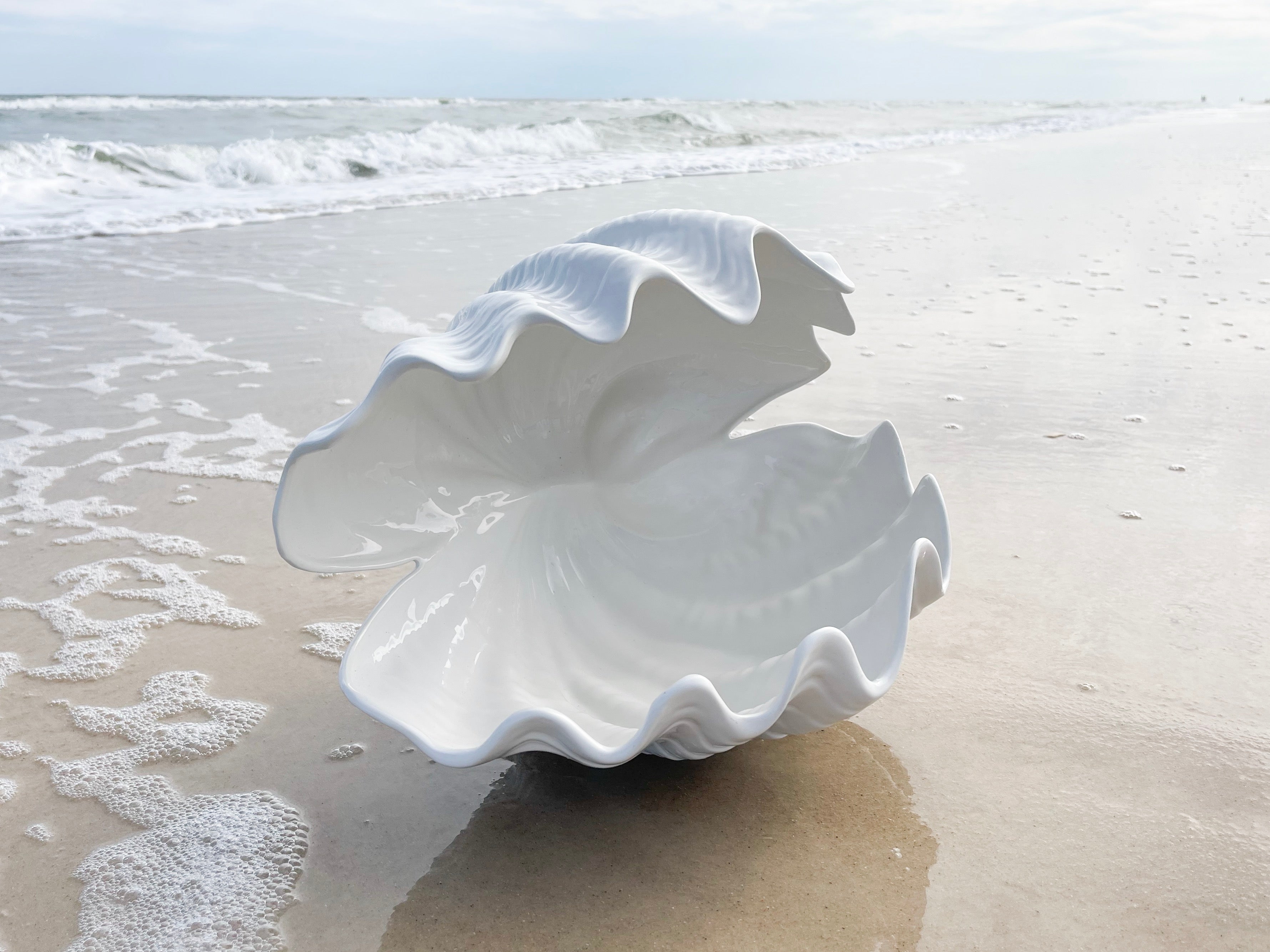 White Clam Shell