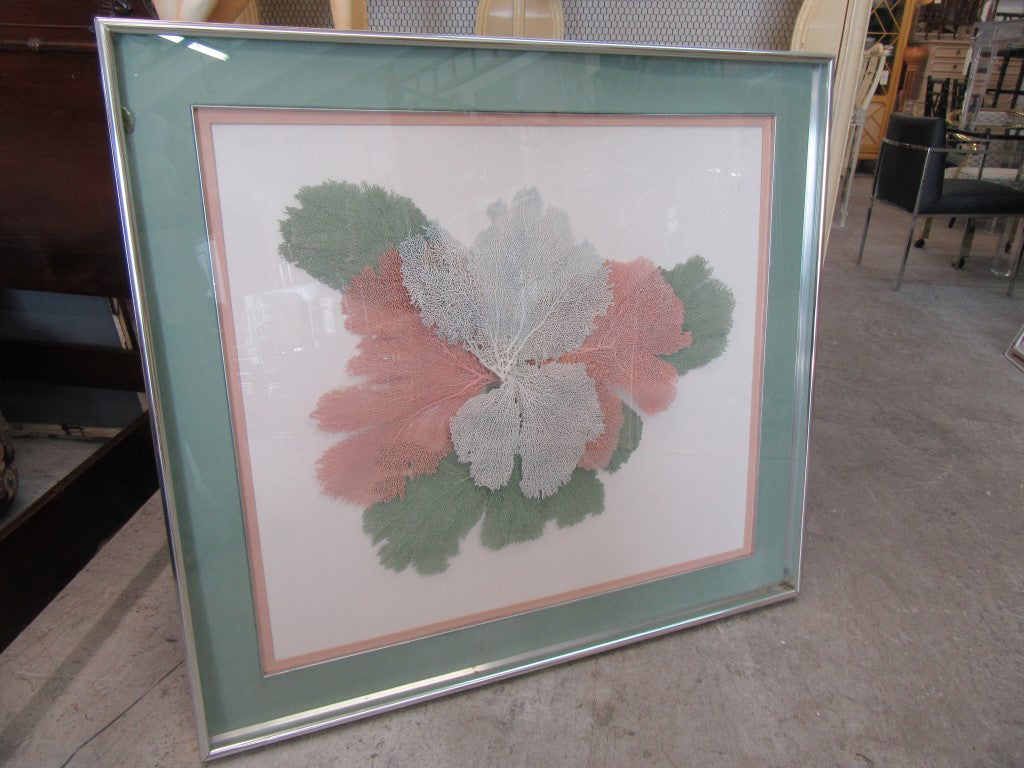 Framed Artistic Fan Coral