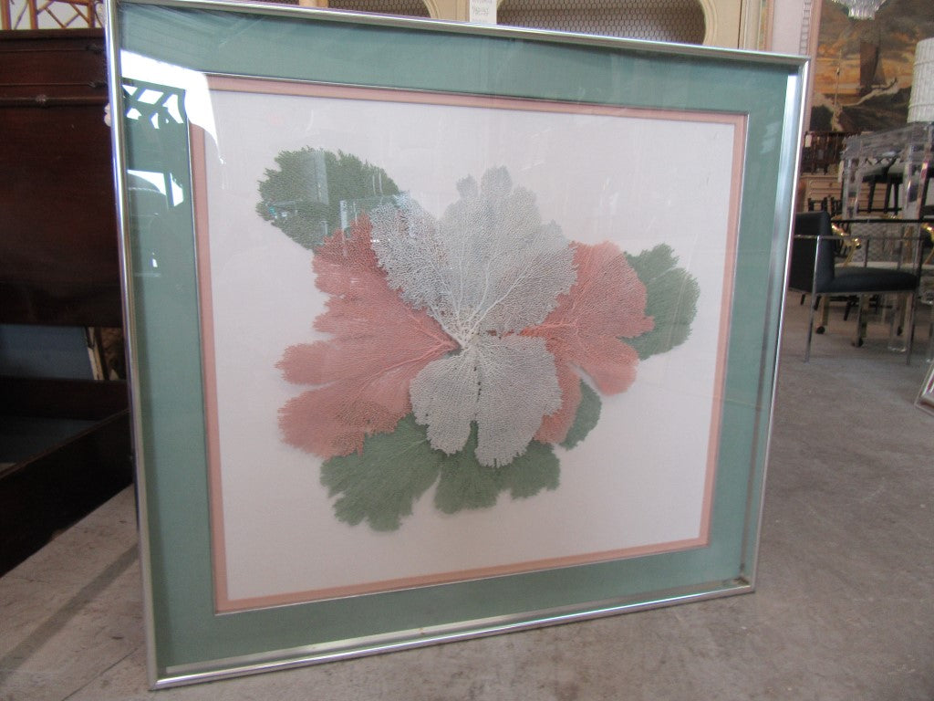 Framed Artistic Fan Coral