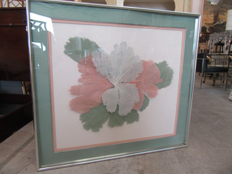 Framed Artistic Fan Coral