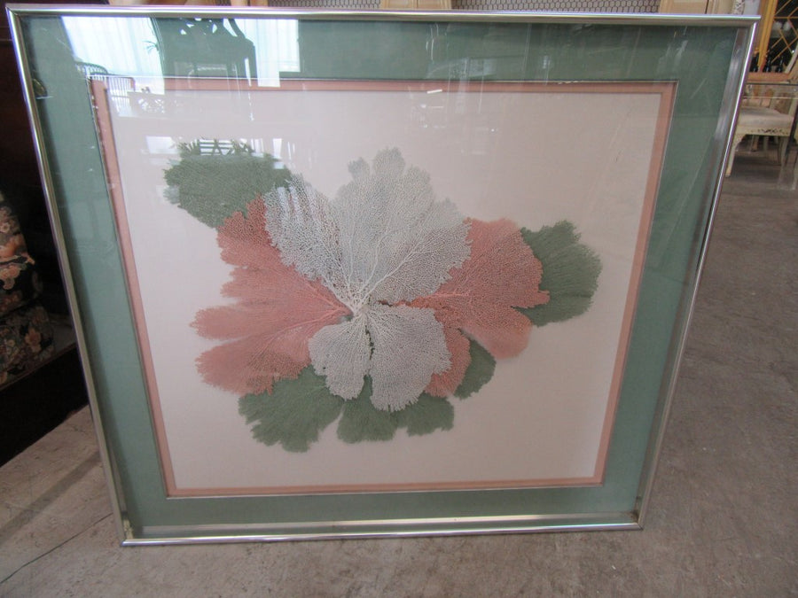 Framed Artistic Fan Coral