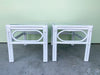Pair of Island Chic Palm End Tables